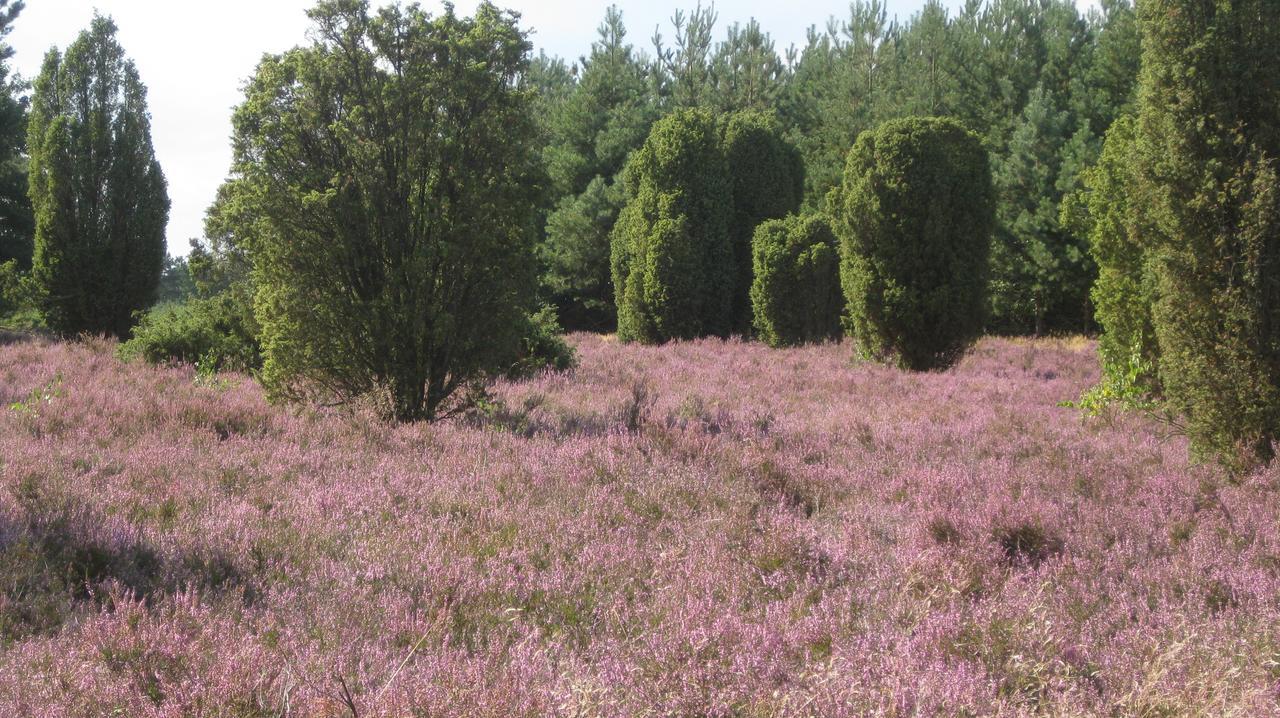 Landhotel Heiner Meyer Wahrenholz Zewnętrze zdjęcie