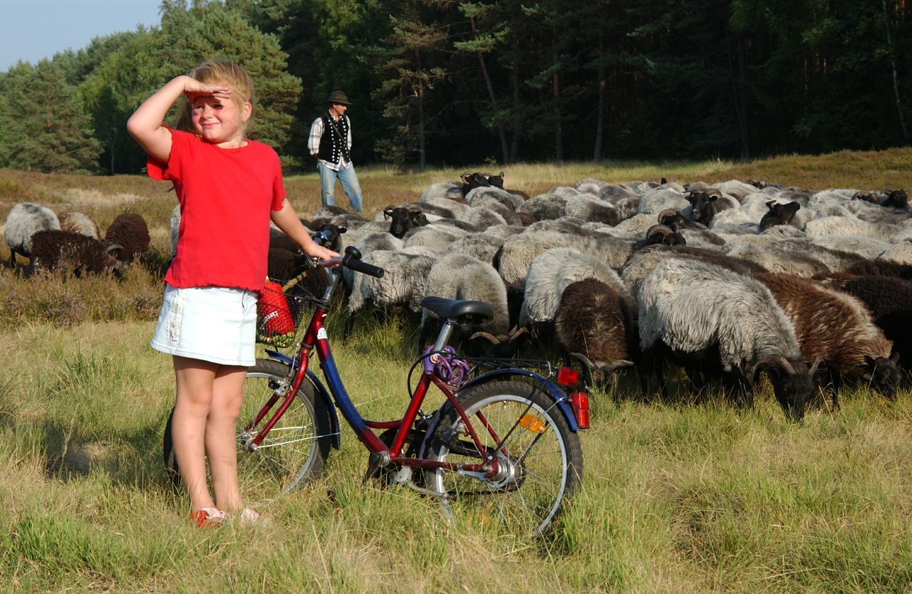 Landhotel Heiner Meyer Wahrenholz Zewnętrze zdjęcie